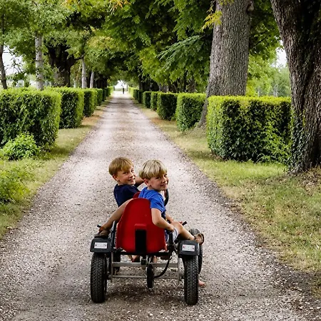 Domaine Bessiere Aube *